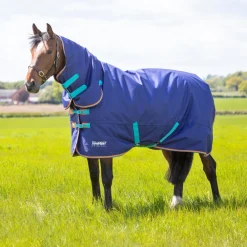 Tempest Original 100 Turnout Combo Rug^Shires Equestrian Outlet