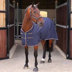 Tempest Original Stable Sheet^Shires Equestrian Online