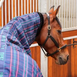 Tempest Plus 100 Stable Combo Rug^Shires Equestrian Discount