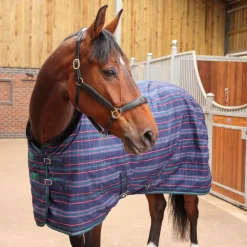 Tempest Plus 100 Stable Rug^Shires Equestrian Sale