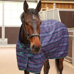 Tempest Plus 100 Stable Rug^Shires Equestrian Sale