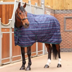 Tempest Plus 100 Stable Rug^Shires Equestrian Sale