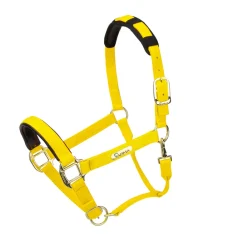 Topaz Nylon Headcollar^Shires Equestrian Hot