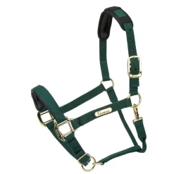 Topaz Nylon Headcollar^Shires Equestrian Hot