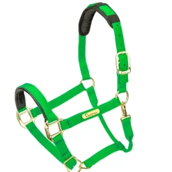 Topaz Nylon Headcollar^Shires Equestrian Hot