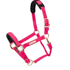 Topaz Nylon Headcollar^Shires Equestrian Hot