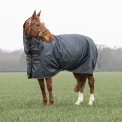 Typhoon 50 Combo Turnout Rug^Shires Equestrian Hot