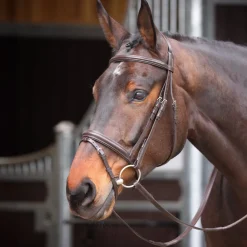 Velociti GARA Comfort Fit Bridle^Shires Equestrian Outlet