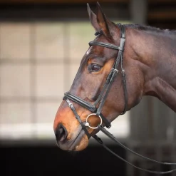 Velociti GARA Comfort Fit Bridle^Shires Equestrian Outlet