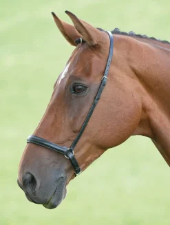 Velociti GARA Drop Noseband^Shires Equestrian Discount