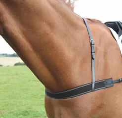 Velociti GARA Elastic Breastgirth^Shires Equestrian New