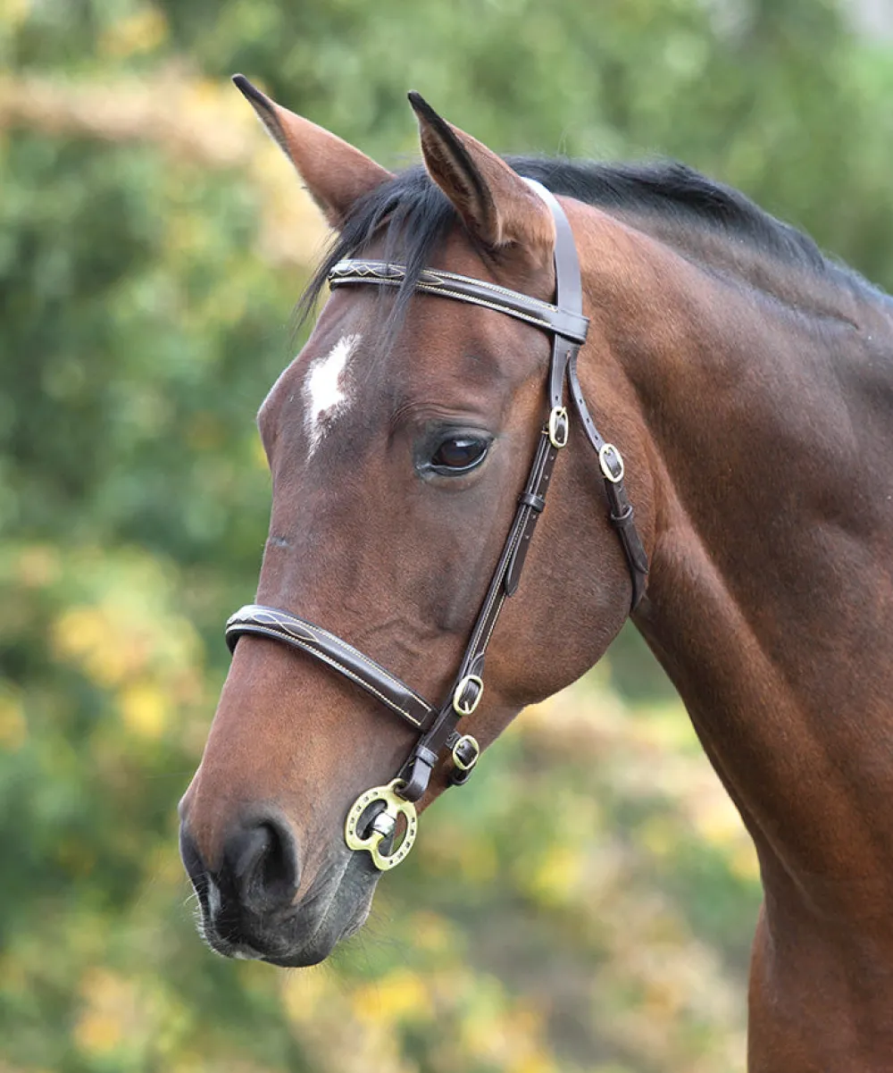 Velociti GARA Fancy Stitched Inhand Bridle^Shires Equestrian New