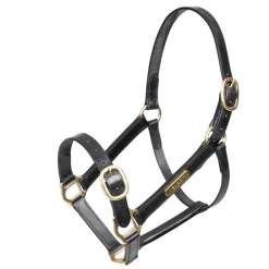 Velociti GARA Fully Adjustable Leather Headcollar^Shires Equestrian Online