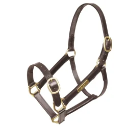 Velociti GARA Fully Adjustable Leather Headcollar^Shires Equestrian Online