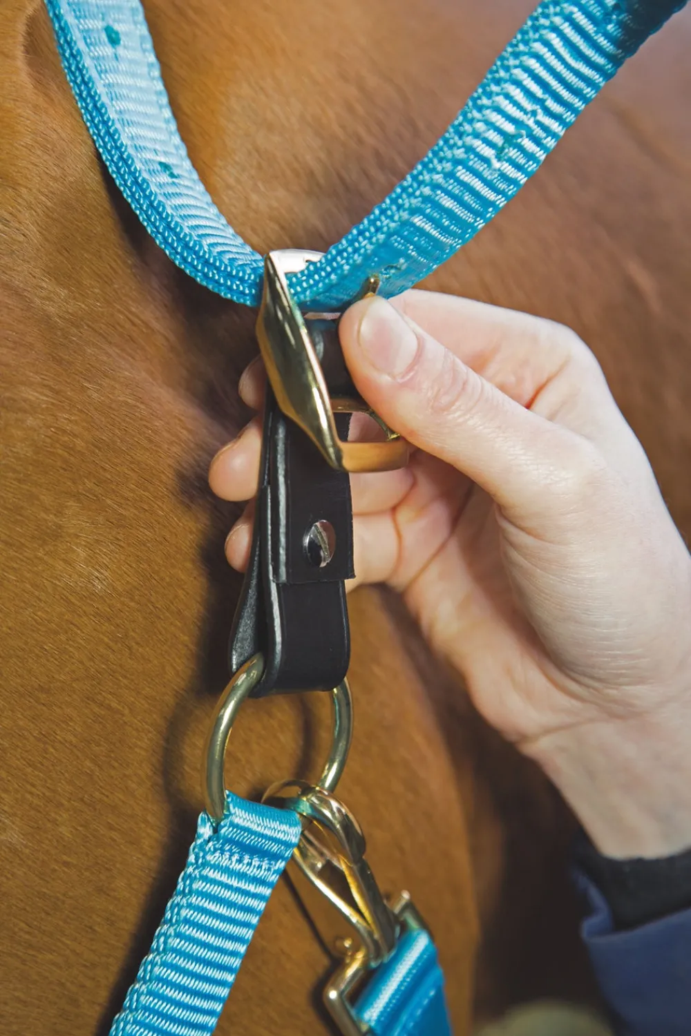 Velociti GARA Headcollar Breakaway Attachment^Shires Equestrian New