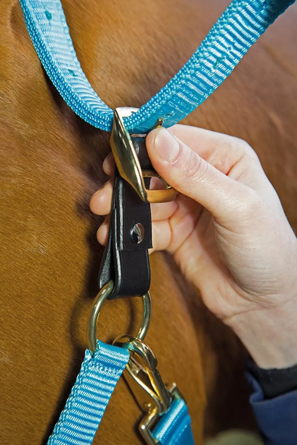 Velociti GARA Headcollar Breakaway Attachment^Shires Equestrian New