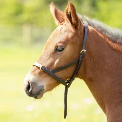 Velociti GARA Leather Foal Slip^Shires Equestrian Clearance