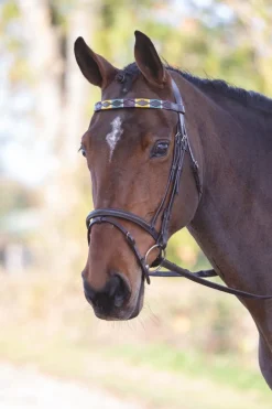 Velociti GARA Leather Polo Browband^Shires Equestrian Clearance