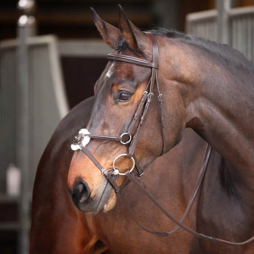 Velociti GARA Mexican Bridle^Shires Equestrian Clearance