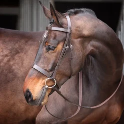 Velociti GARA Plain Bridle^Shires Equestrian Online