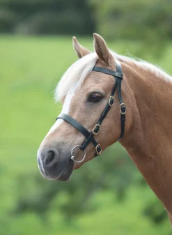 Velociti GARA Plain Inhand Bridle^Shires Equestrian Best