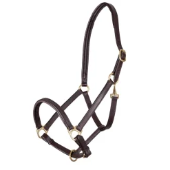 Velociti GARA Ragley Lined Leather Headcollar^Shires Equestrian