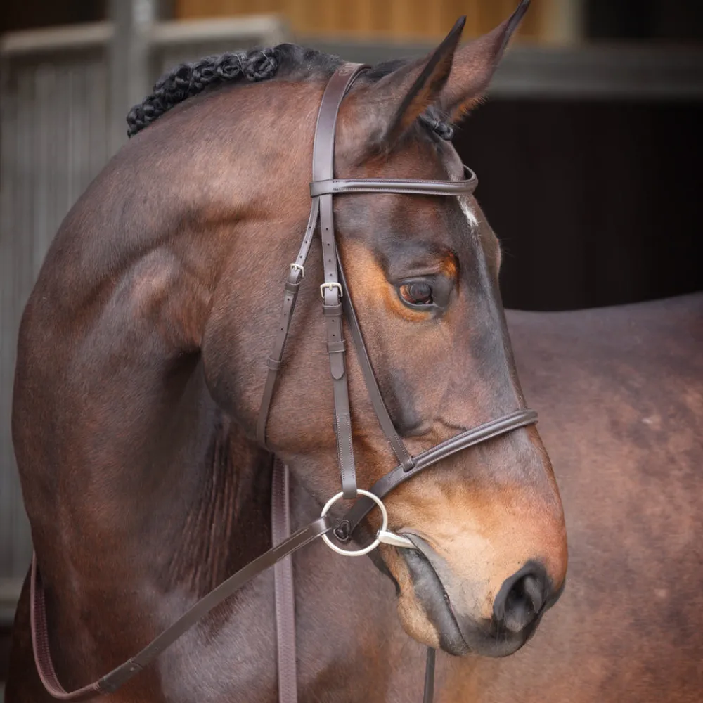 Velociti GARA Raised Cavesson Bridle^Shires Equestrian Sale