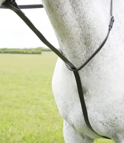 Velociti GARA Standing Martingale^Shires Equestrian New