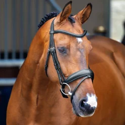 Velociti Lusso Dressage Flash Bridle^Shires Equestrian Sale