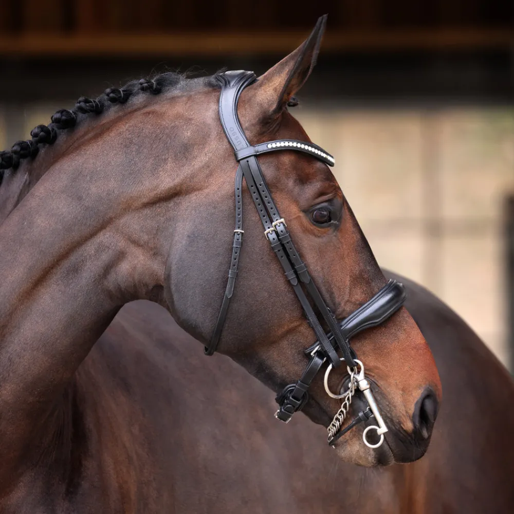 Velociti Lusso Elite Double Bridle^Shires Equestrian Discount