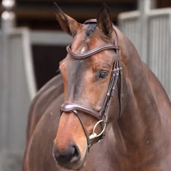 Velociti Lusso Elite Flash Bridle^Shires Equestrian Hot