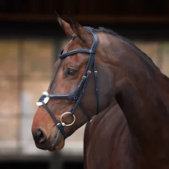 Velociti Lusso Elite Grackle Bridle^Shires Equestrian Hot
