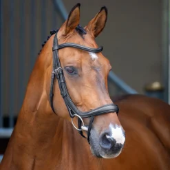 Velociti Lusso Ergonomic Curved Flash Bridle^Shires Equestrian Discount