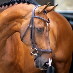 Velociti Lusso Ergonomic Curved Flash Bridle^Shires Equestrian Discount