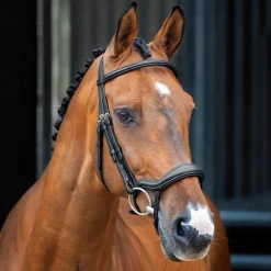 Velociti Lusso Ergonomic Flash Bridle^Shires Equestrian Discount