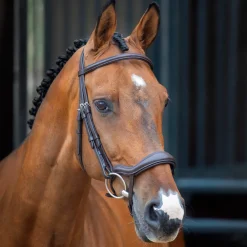 Velociti Lusso Ergonomic Flash Bridle^Shires Equestrian Discount