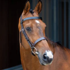 Velociti Lusso Hunter Cavesson Bridle^Shires Equestrian Clearance