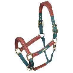 Velociti Lusso Padded Leather Headcollar^Shires Equestrian Hot