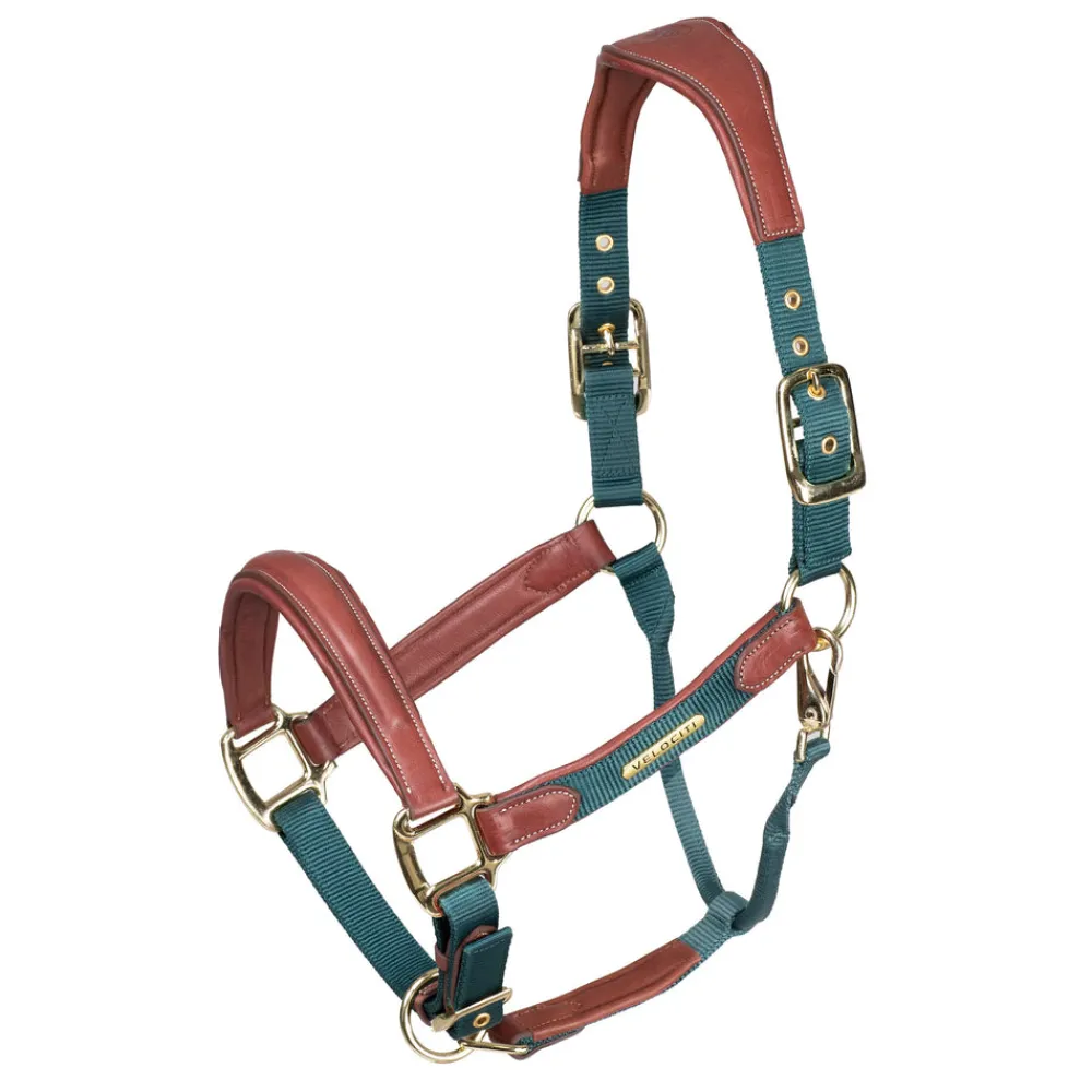 Velociti Lusso Padded Leather Headcollar^Shires Equestrian Hot