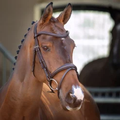 Velociti Lusso Padded Raised Flash Bridle^Shires Equestrian Online