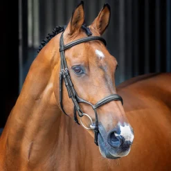 Velociti Lusso Rolled Padded Cavesson Bridle^Shires Equestrian Sale