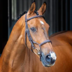 Velociti Lusso Rolled Padded Cavesson Bridle^Shires Equestrian Sale
