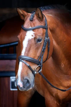 Velociti RAPIDA Dressage Bridle with Flash^Shires Equestrian Discount