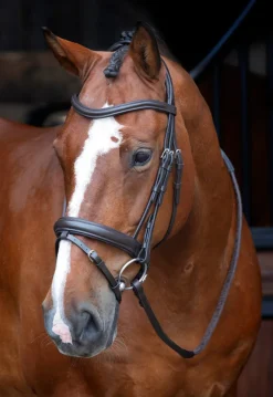 Velociti RAPIDA Dressage Bridle with Flash^Shires Equestrian Discount