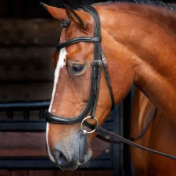 Velociti RAPIDA Ergonomic Cavesson Bridle^Shires Equestrian Online