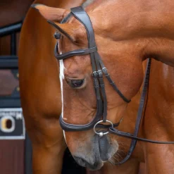 Velociti RAPIDA Ergonomic Cavesson Bridle^Shires Equestrian Online