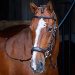Velociti RAPIDA Ergonomic Flash Bridle^Shires Equestrian New