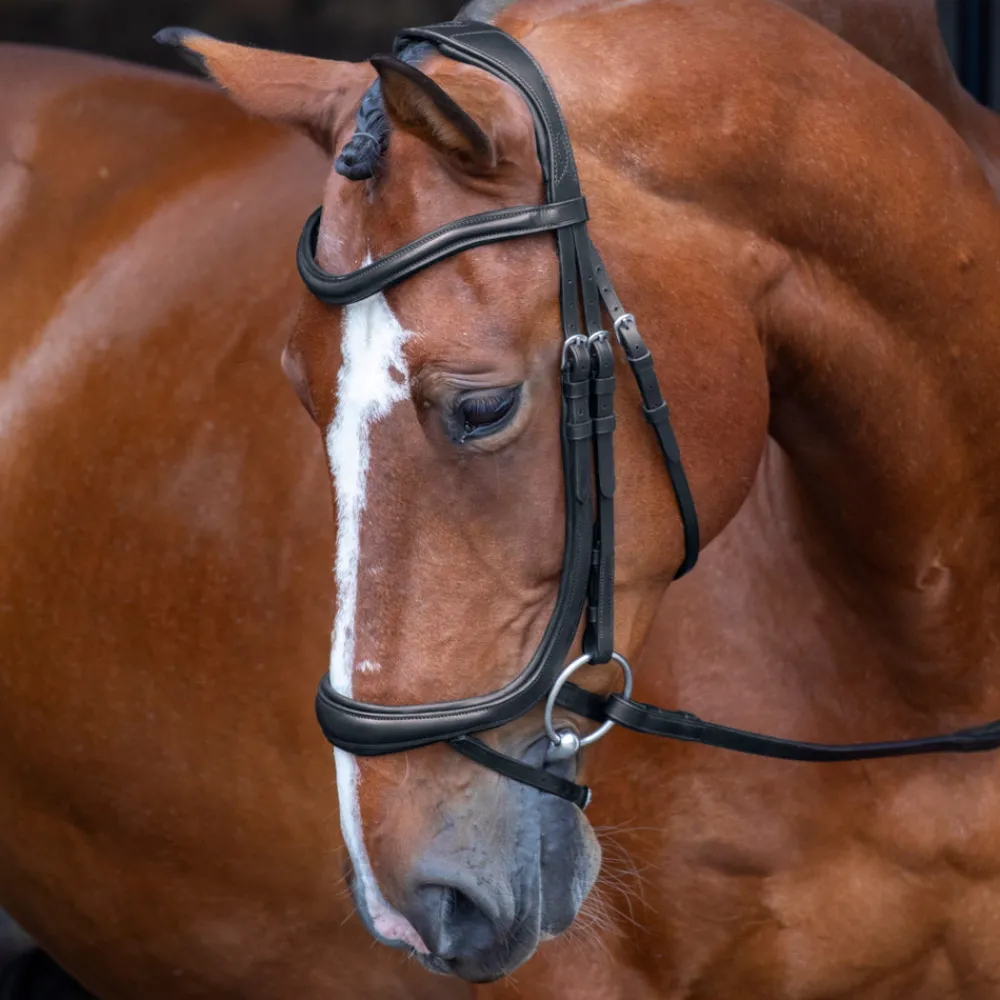 Velociti RAPIDA Ergonomic Curved Flash Bridle^Shires Equestrian Online