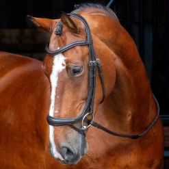 Velociti RAPIDA Ergonomic Curved Flash Bridle^Shires Equestrian Online