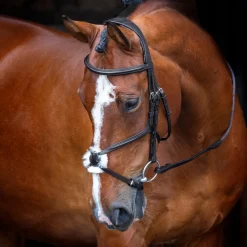 Velociti RAPIDA Grackle Bridle^Shires Equestrian Clearance